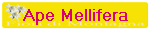 Ape Mellifera