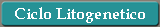 Ciclo Litogenetico