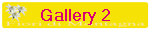 Gallery 2