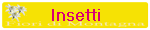 Insetti