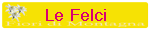 Le Felci