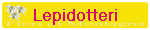Lepidotteri