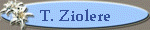 T. Ziolere